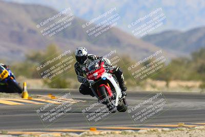 media/Mar-10-2024-SoCal Trackdays (Sun) [[6228d7c590]]/3-Turn 14 (1020am)/